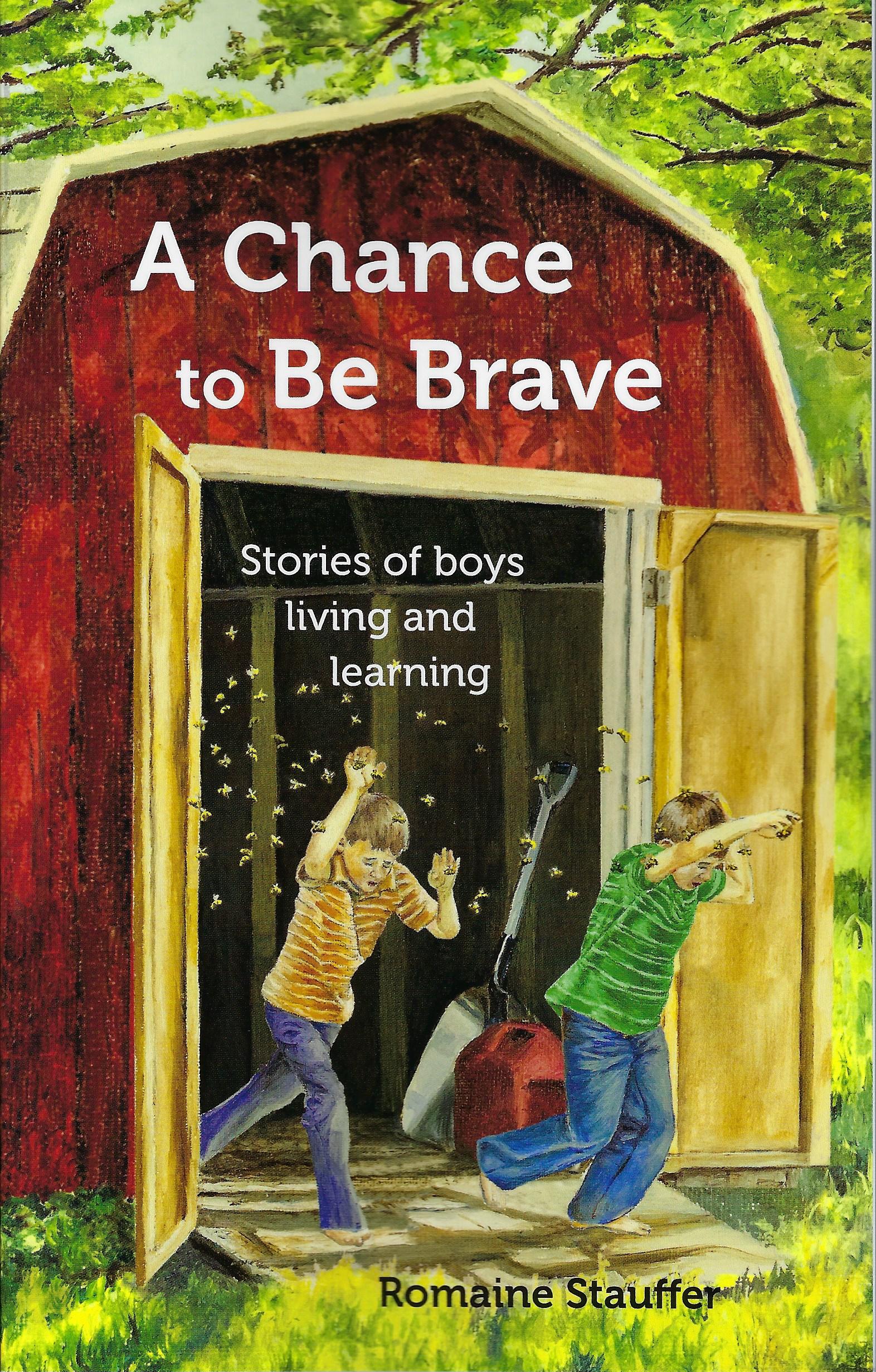 A Chance to be Brave Romaine Stauffer